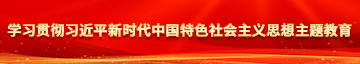 被肏小逼的视频学习贯彻习近平新时代中国特色社会主义思想主题教育